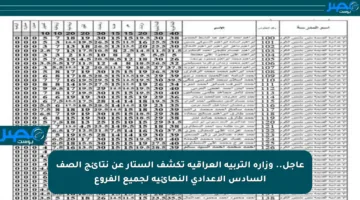 عاجل.. وزارة التربية العراقية تكشف الستار عن نتائج الصف السادس الإعدادي النهائية لجميع الفروع